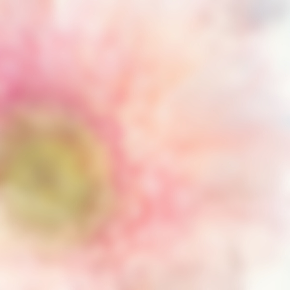 watercolor background